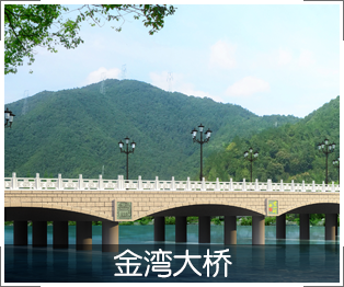 金湾大桥